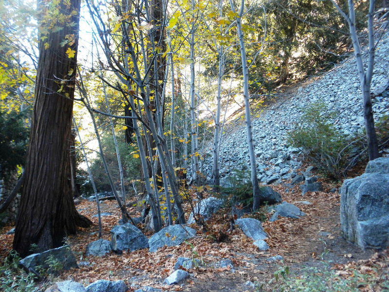 ceglen103110 107.jpg